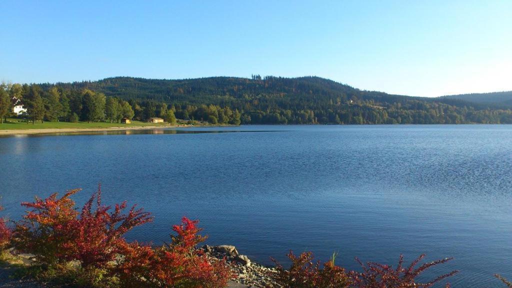 Apartmany Lipno 46 Lipno nad Vltavou Exteriör bild